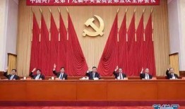 成武五中爆料新闻视频最新,揭秘校园热点事件背后的真相